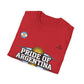 Pride of Argentina T-Shirt — Argentine Flag Sun Football Fan Tee